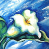 Flower 1