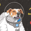where id go for a milkbone