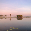 Sunrise Over Yellow Water Billabong