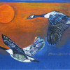 migrating geese