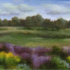 Summer Field