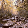 South Mountain Rolling Brook in the Fall