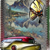 -Butterfly car(3)