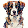 Colorful Canine Portrait