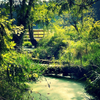 bridge in greenery