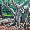 “Banyans at Dreher Park”
