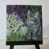 Cat among the flowers