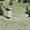 IMG 0335