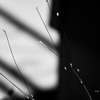  05256A