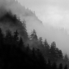 Moody day in Juneau