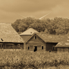 3 barns windmill