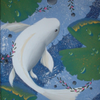 white koi