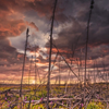 Sunset in the Kenai National Wildlife Refuge
