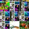 Screenshot 2026-10-01 at 4