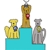 Dog show success.