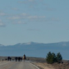 Montana traffis jam 