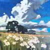 Daisies in Field