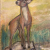 Study deer watercolor 