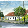 Crexis