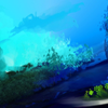 Forest Magic