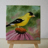 Yellow Finch and Cone Flower