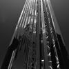 IMG 6550