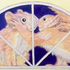 Squirrels kissing in attic window