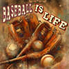 baseball is life