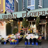 Urban Flowers