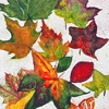 Watercolors