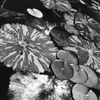 IMG 7887