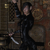 The Assassin Blade