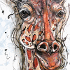 Gerald Giraffe