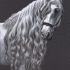 Andalusian Horse