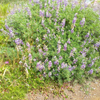 DSCF0031
