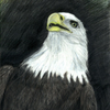 20080122