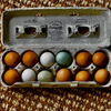 The Blue Egg
