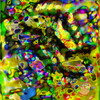 Crexis