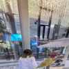 IMG 7975