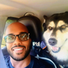 Wolfdog adventures