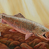 Brown Trout 