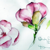 Study for A Magnolia 0001