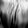 IMG 7890