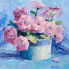 Pink petunia