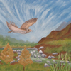 HawkLandscape