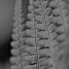 Repetition