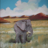 the shy Pachyderm