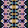 332555952 mirror13