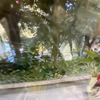 IMG 7971