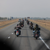 Honor Flight escort 